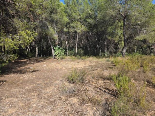 Terreno en venta en l'Horta Sud, Valencia