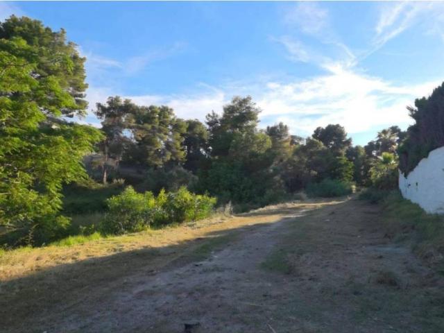 Terreno en venta en l'Horta Sud, Valencia