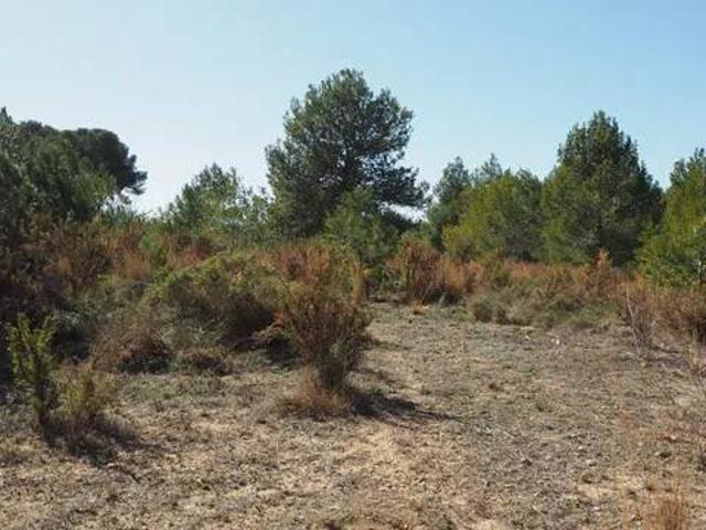 Terreno en venta en l'Horta Sud, Valencia