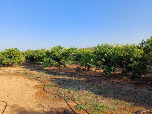 Terreno en venta en Corral del Manyet, l'Horta Sud
