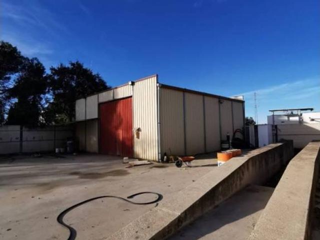 Terreno en venta en Torreperogil, Andalucía