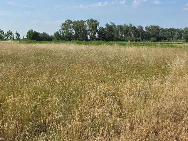 Terreno en venta en Ribera Alta del Ebro, Aragón