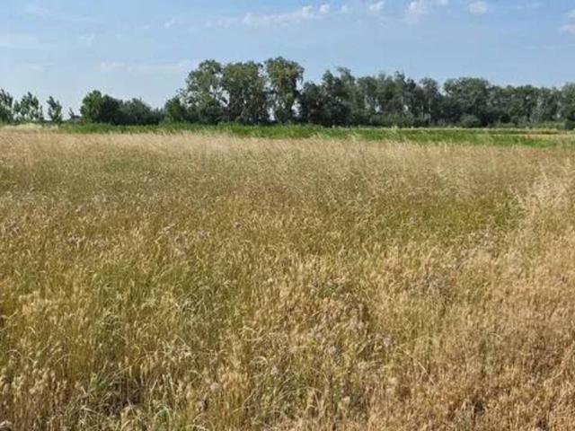 Terreno en venta en Ribera Alta del Ebro, Aragón