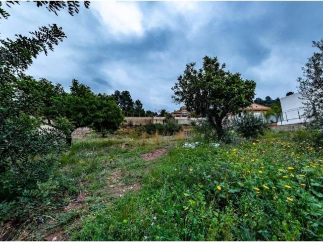 Terreno en venta en el Camp de Morvedre, Valencia