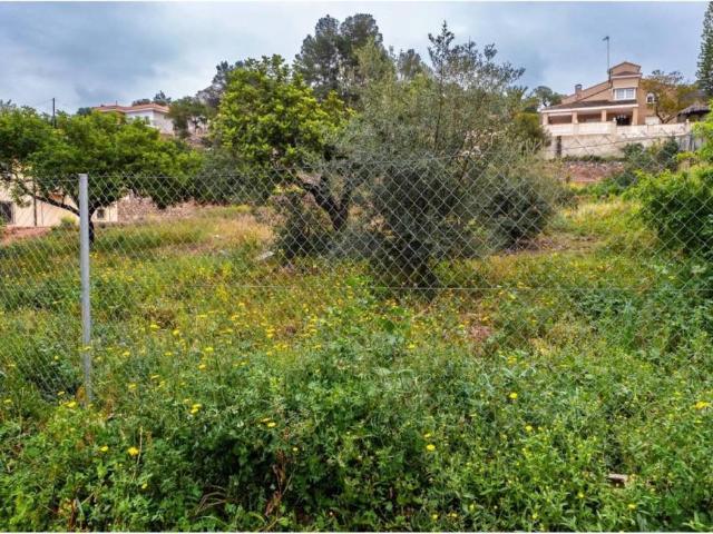 Terreno en venta en el Camp de Morvedre, Valencia