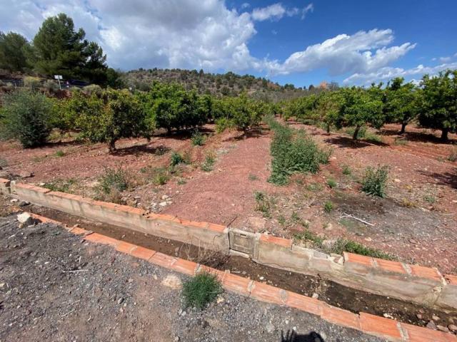 Terreno en venta en el Camp de Morvedre, Valencia