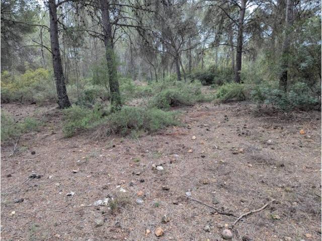 Terreno en venta en el Camp de Morvedre, Valencia