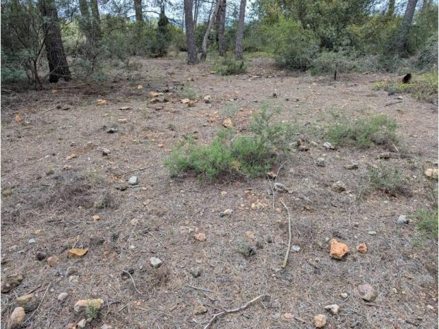Terreno en venta en el Camp de Morvedre, Valencia