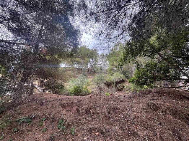 Terreno en venta en el Camp de Morvedre, Valencia