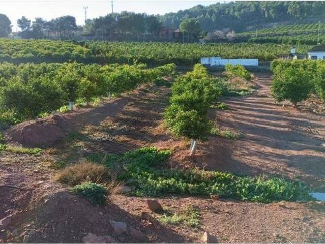 Terreno en venta en el Camp de Morvedre, Valencia