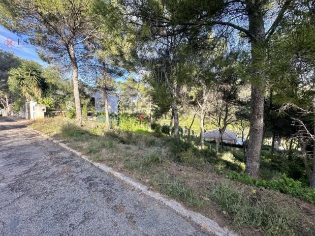 Terreno en venta en el Camp de Morvedre, Valencia