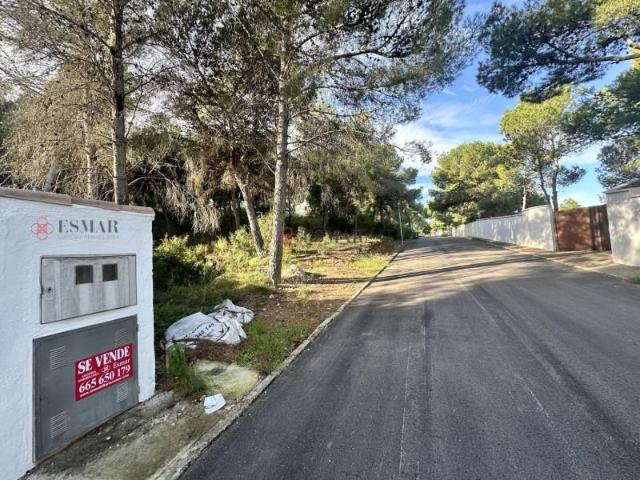 Terreno en venta en el Camp de Morvedre, Valencia