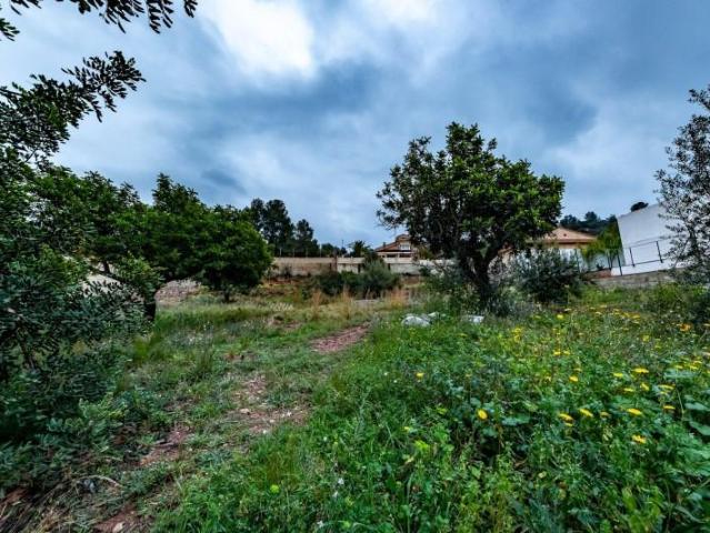 Terreno en venta en el Camp de Morvedre, Valencia