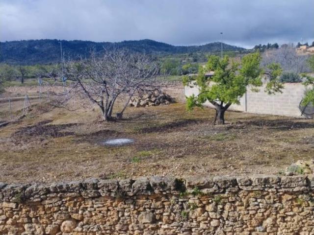 Terreno en venta en Torrevelilla