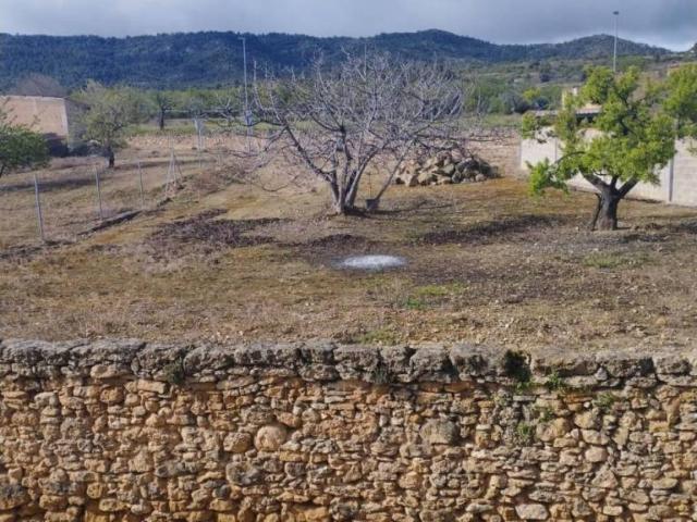 Terreno en venta en Bajo Aragón, Aragón