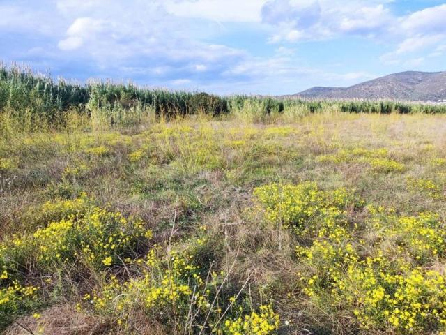 Terreno en venta en Alt Empordà, Catalunya