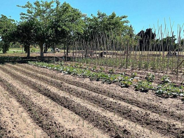 Terreno en venta en Baix Empordà, Catalunya