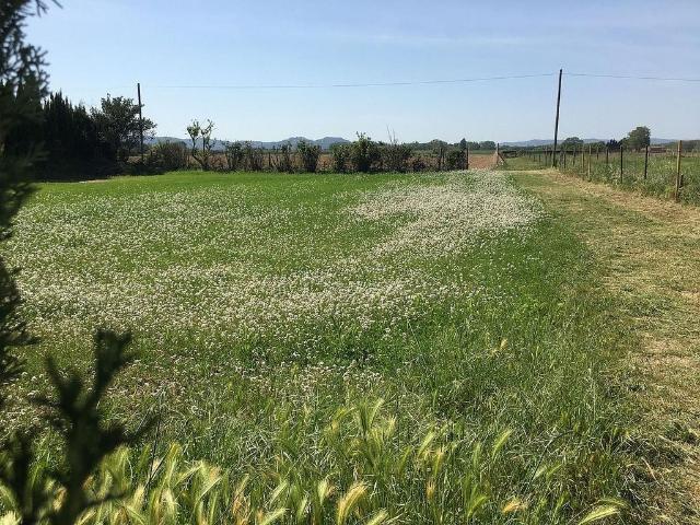 Terreno en venta en Baix Empordà, Catalunya