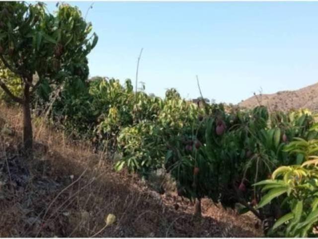 Terreno en venta en La Axarquía, Andalucía