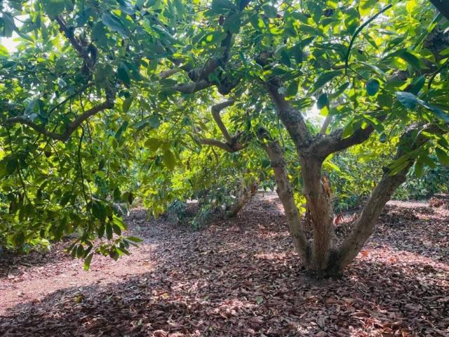 Terreno en venta en La Axarquía, Andalucía