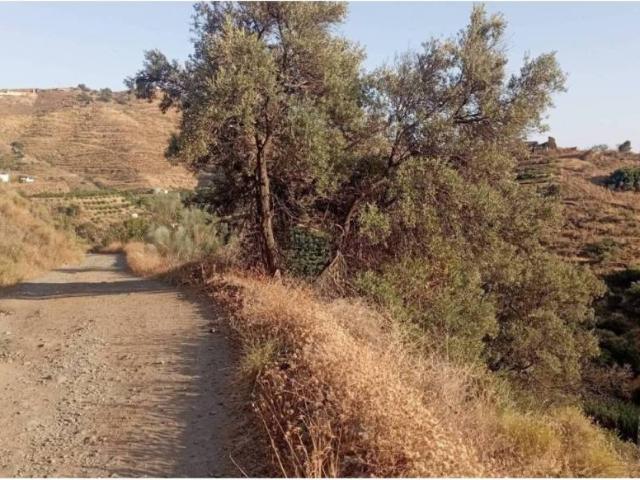 Terreno en venta en La Axarquía, Andalucía