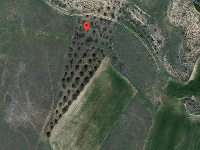 Terreno en venta en Martinamor, Castilla y León