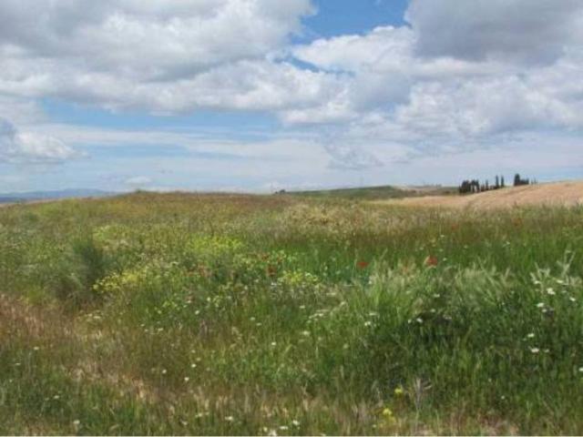 Terreno en venta en Tórtola De Henares, Castilla-La Mancha