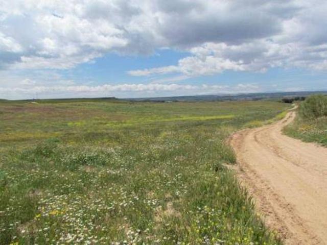 Terreno en venta en Tórtola De Henares, Castilla-La Mancha