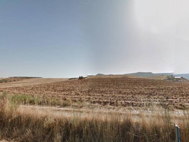 Terreno en venta en Tórtola De Henares, Castilla-La Mancha