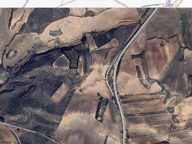 Terreno en venta en Tórtola De Henares, Castilla-La Mancha