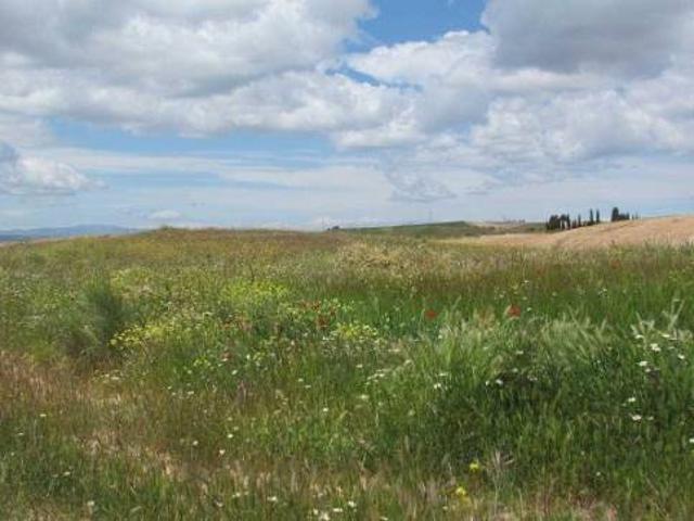 Terreno en venta en Tórtola De Henares, Castilla-La Mancha