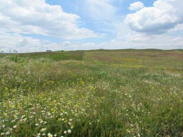 Terreno en venta en Tórtola De Henares, Castilla-La Mancha