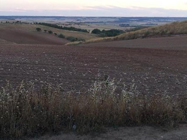 Terreno en venta en Tórtola De Henares, Castilla-La Mancha