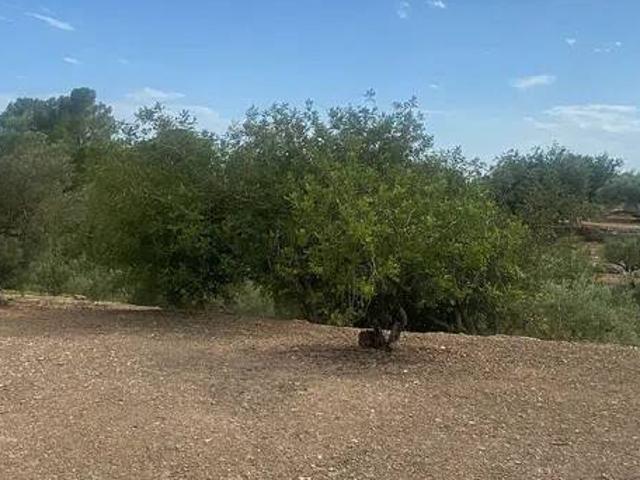 Terreno en venta en Jesús, Baix Ebre
