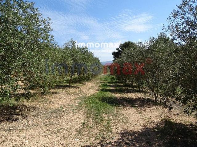Terreno en venta en Baix Ebre, Catalunya