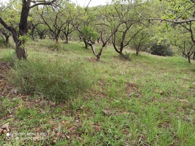 Terreno en venta en Totalán, Málaga