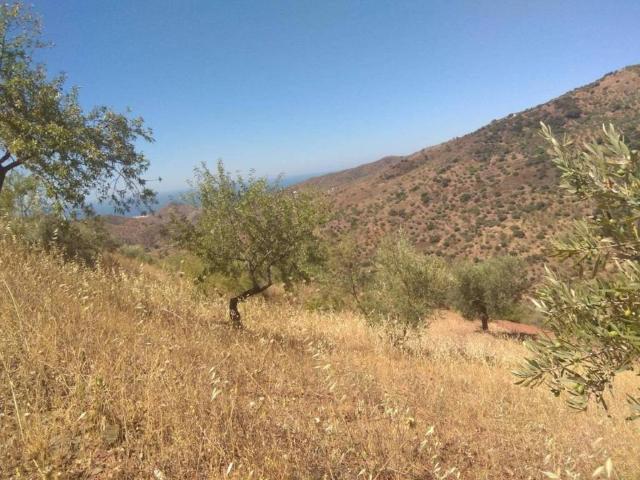 Terreno en venta en La Axarquía, Andalucía