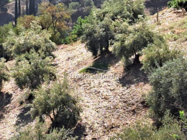 Terreno en venta en Totalán