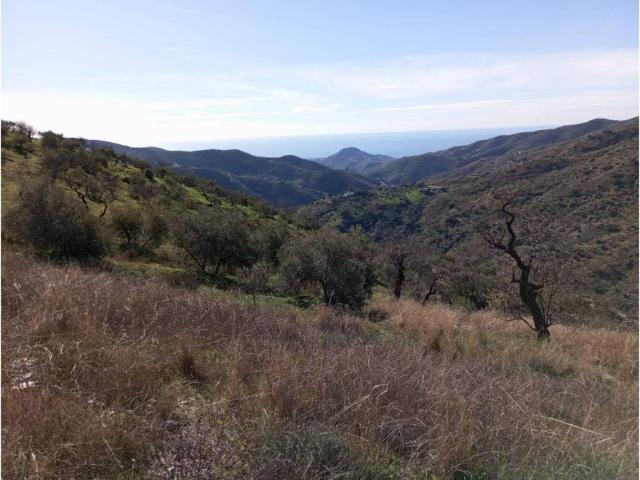 Terreno en venta en Este, Málaga-Costa del Sol