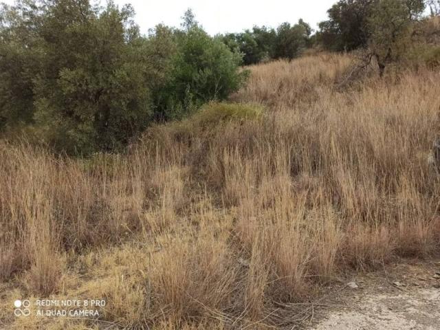 Terreno en venta en La Axarquía, Andalucía