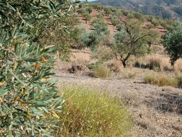 Terreno en venta en La Axarquía, Andalucía