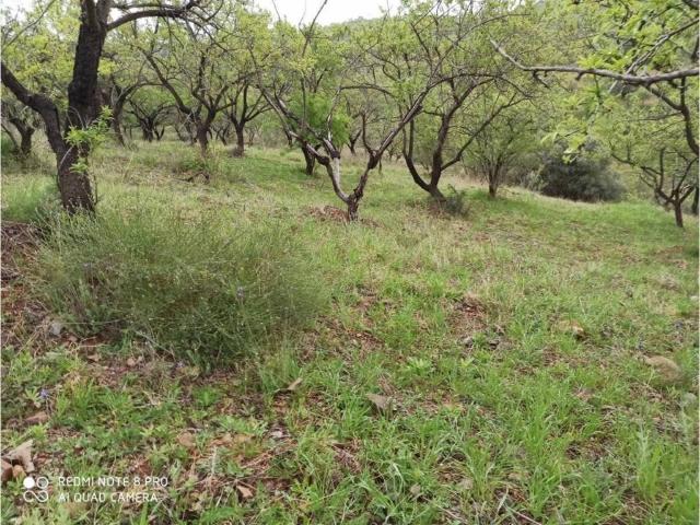 Terreno en venta en La Axarquía, Andalucía