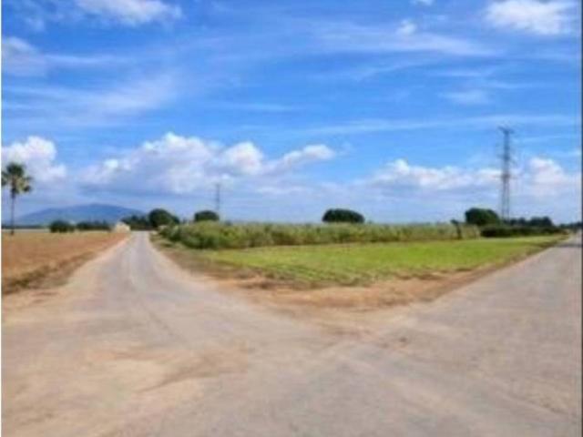 Terreno en venta en Bajo Guadalentín, Murcia
