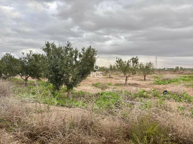 Terreno en venta en Mortí Bajo, Bajo Guadalentín