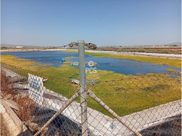 Terreno en venta en Mortí Bajo, Bajo Guadalentín