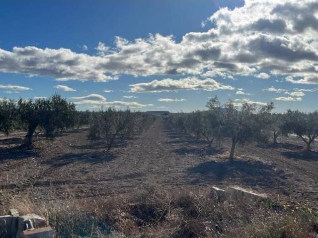 Terreno en venta en Bajo Guadalentín, Murcia