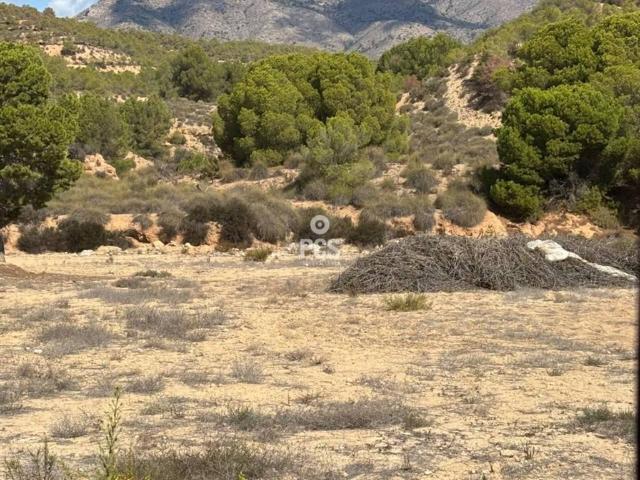 Terreno en venta en Mortí Bajo, Bajo Guadalentín