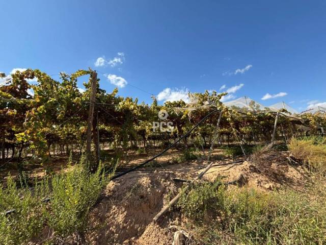 Terreno en venta en Mortí Bajo, Bajo Guadalentín