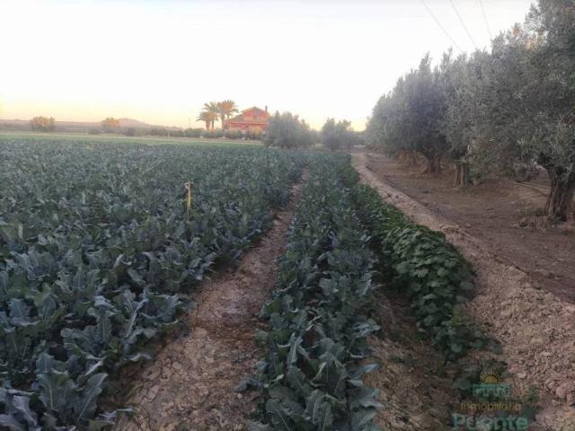 Terreno en venta en Bajo Guadalentín, Murcia