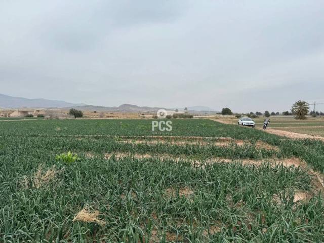 Terreno en venta en Bajo Guadalentín, Murcia